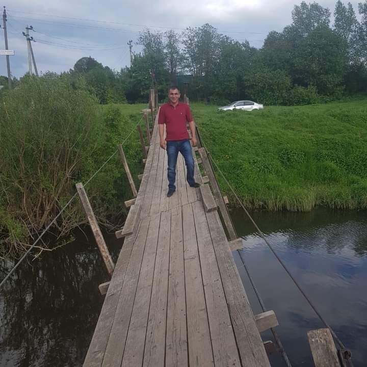  36592056  , 41 ,    