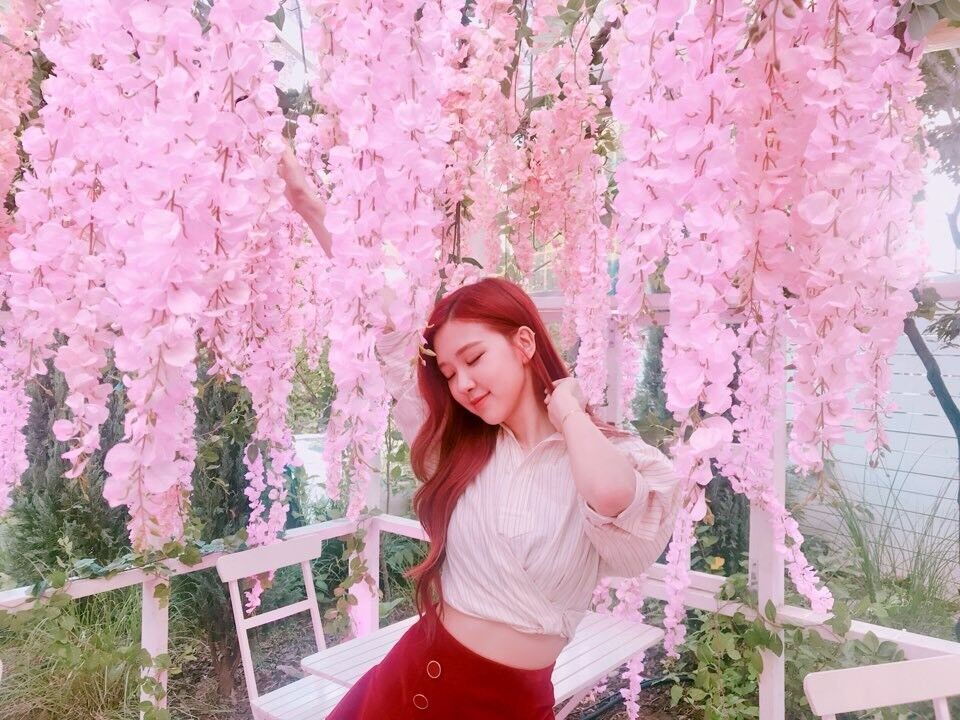  16230256  Chaeyoung, 28 ,    