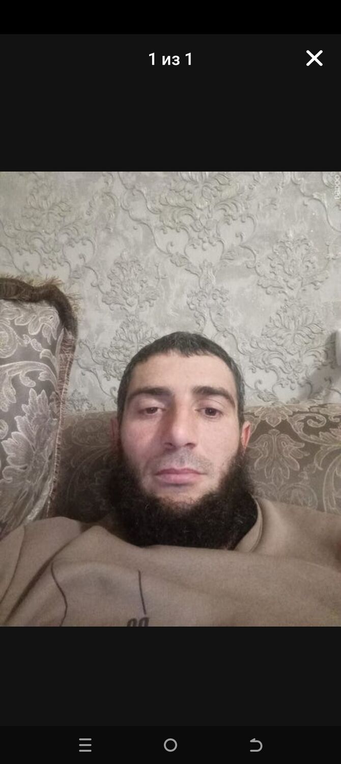  49018506  , 33 ,    