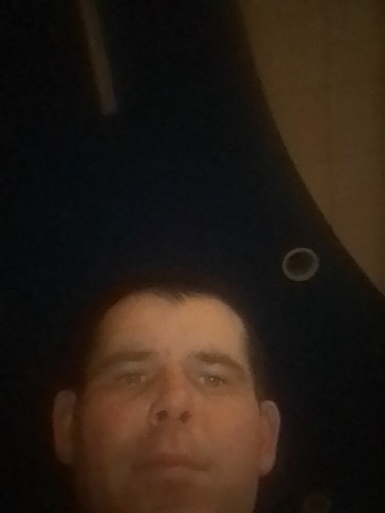  31175716  , 37 ,    