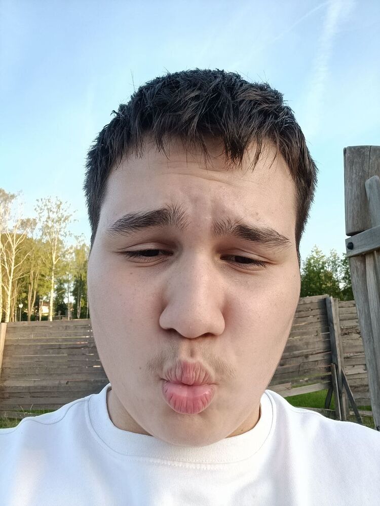  53136636  , 18 ,    --