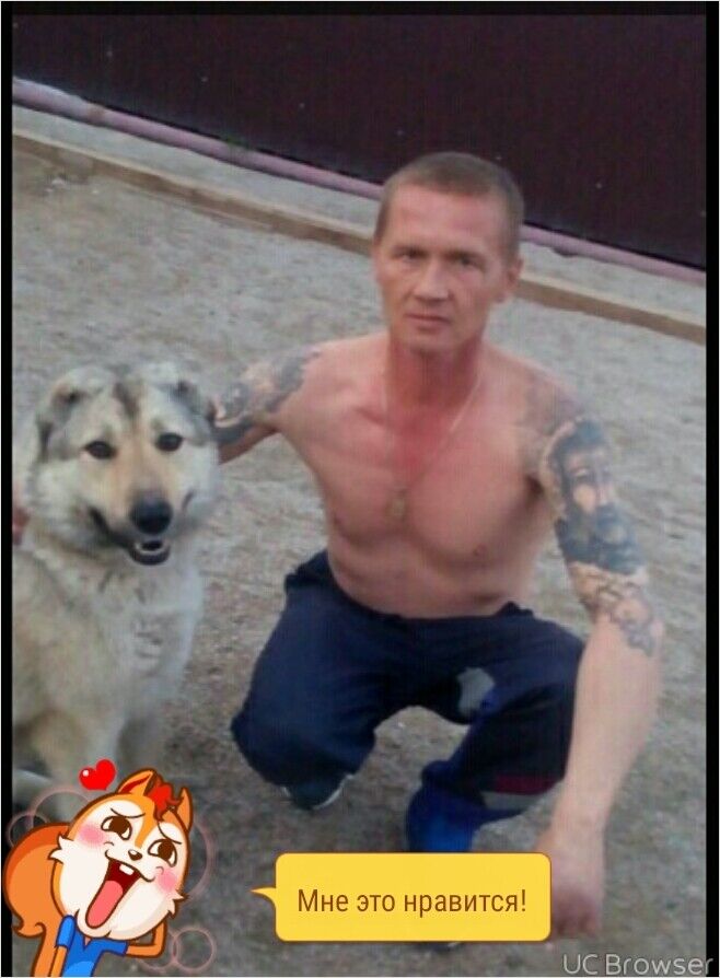 ���� 9065926 ������� ������, 51 ���, ���� ���������� � ������������