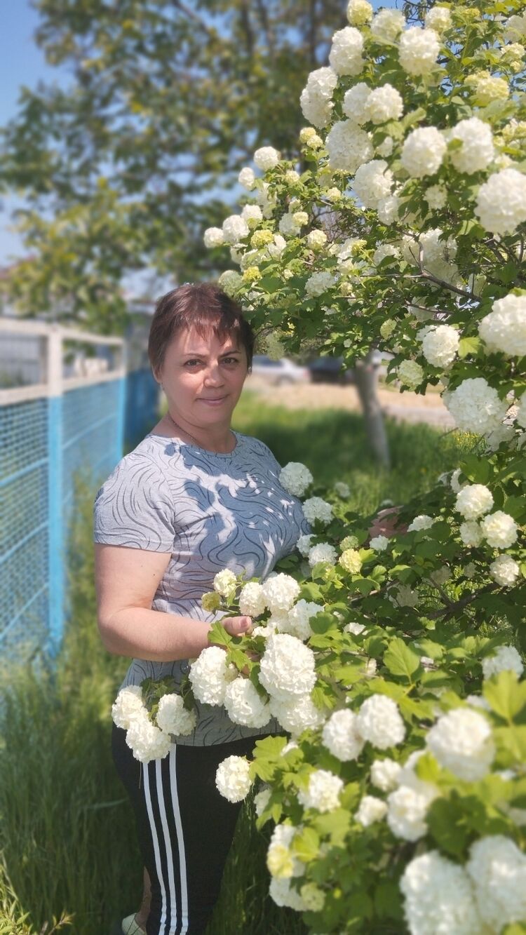 ���������� ������, ���� ������� �������, 51 ���, ������������ ��� c�������� ���������