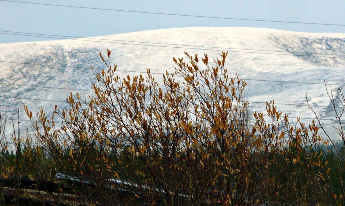 ���������� ����, ���� ������� �����, 39 ���, ������������ 