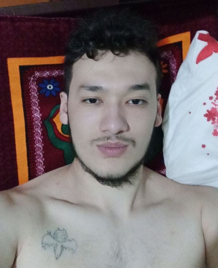  44517166  , 29 ,    