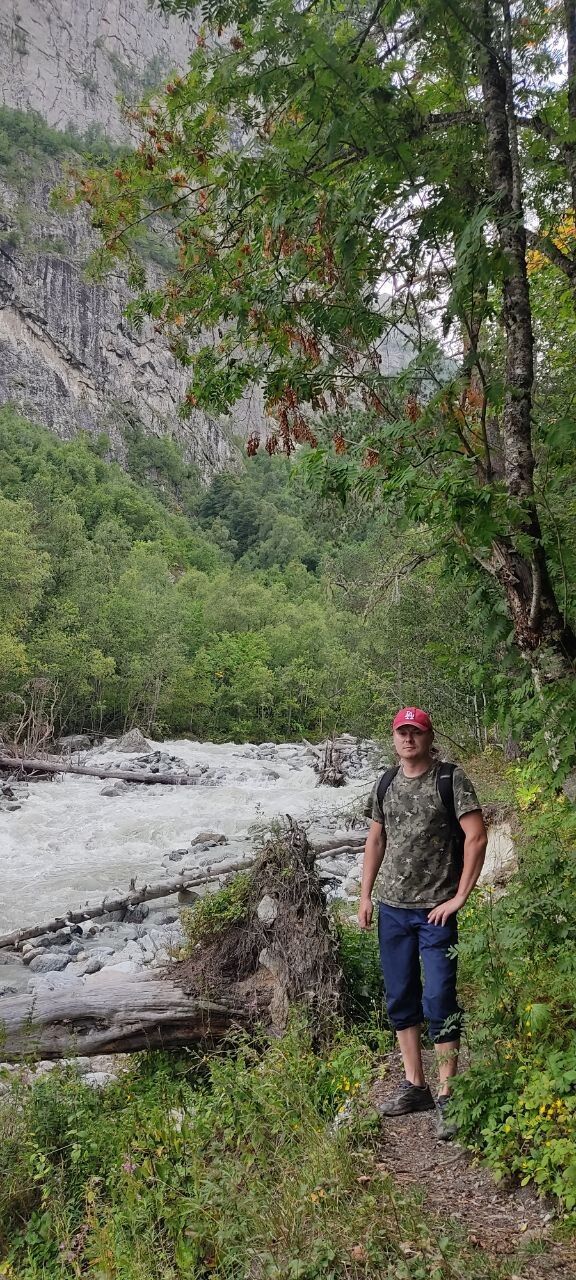 ���� 24634176 ������� Absentars, 42 ����, ���� ���������� � ������