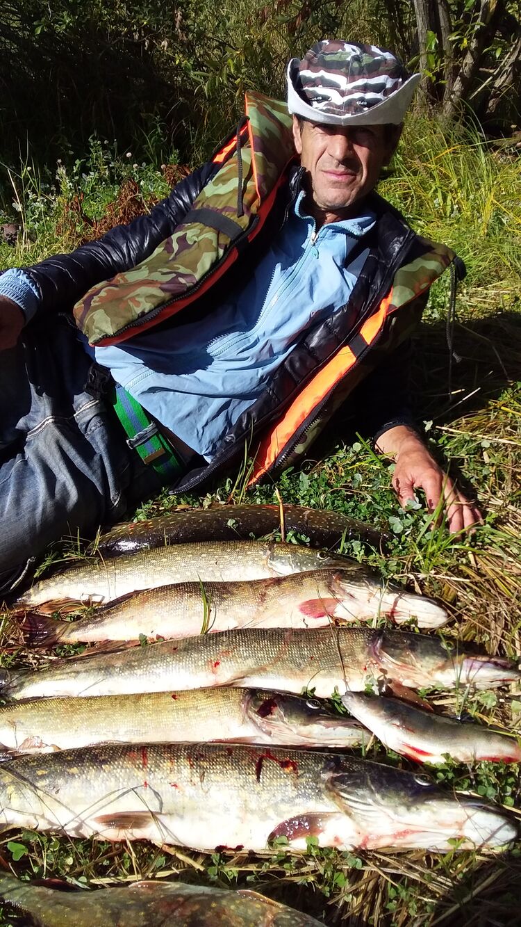 ���������� �����-���������, ���� ������� ���������, 49 ���, ������������ ��� ������, ����� � ���������