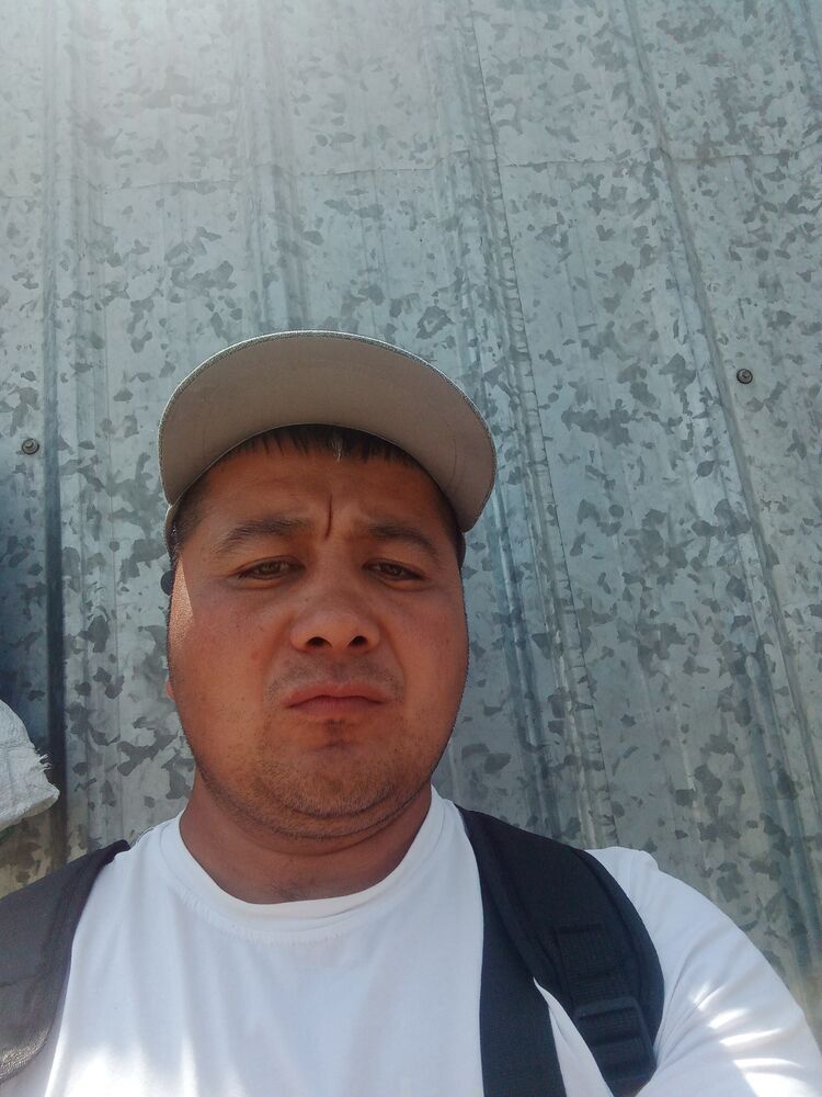  43636376  , 34 ,    