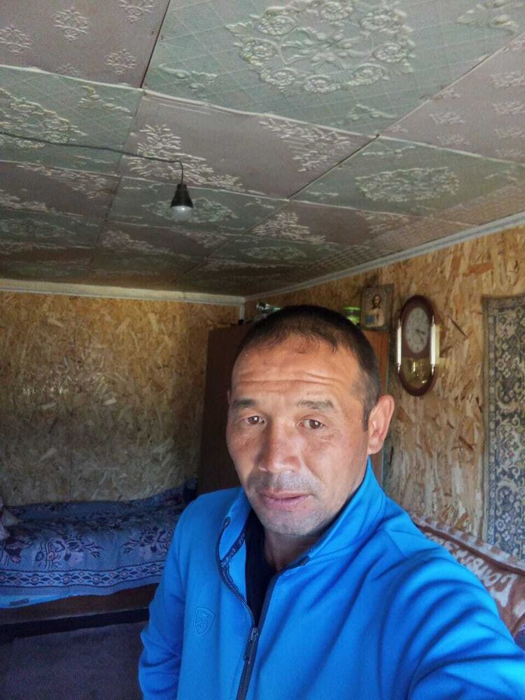  53819846  , 40 ,    -