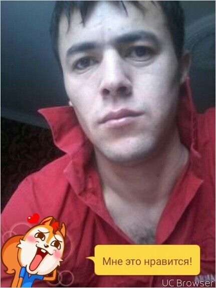 ���� 13063526 ������� Hursed, 40 ���, ���� ���������� � ������