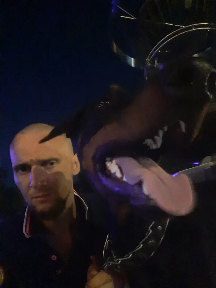  28313466  , 38 ,    --
