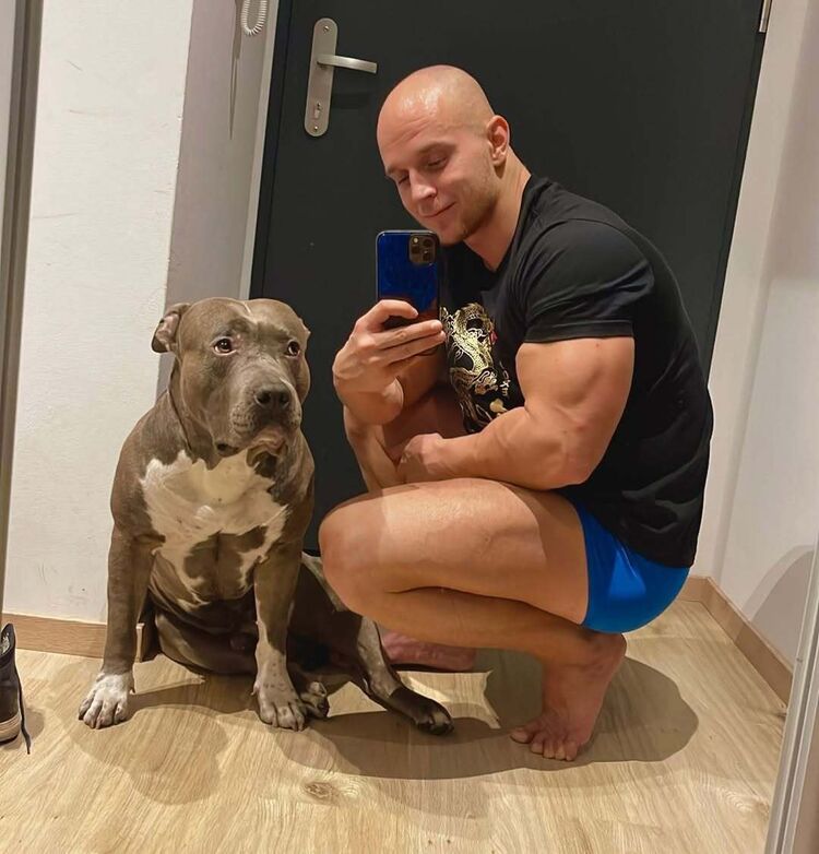 ���������� ���������, ���� ������� ������, 38 ���, ������������ ��� ������, ����� � ���������