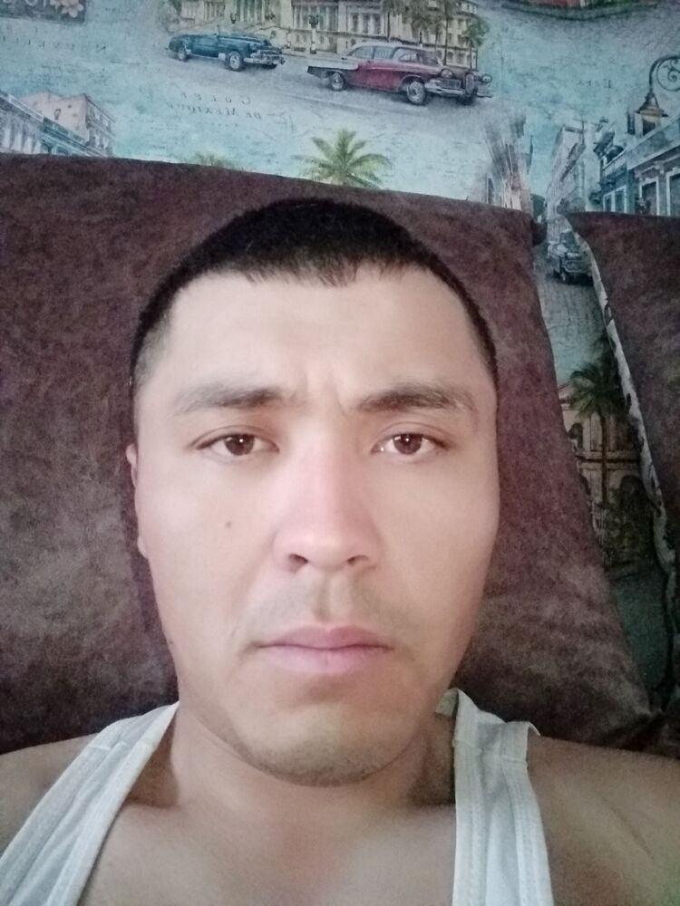 ���� 26546706 ������� ����, 31 ���, ���� ���������� � ���������