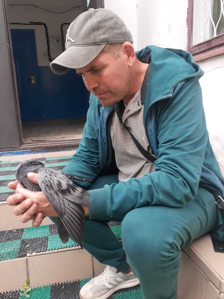 ���� 54029896 ������� �������, 36 ���, ���� ���������� � �������