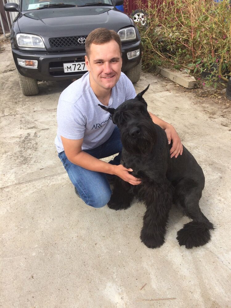  10735786  , 33 ,    -