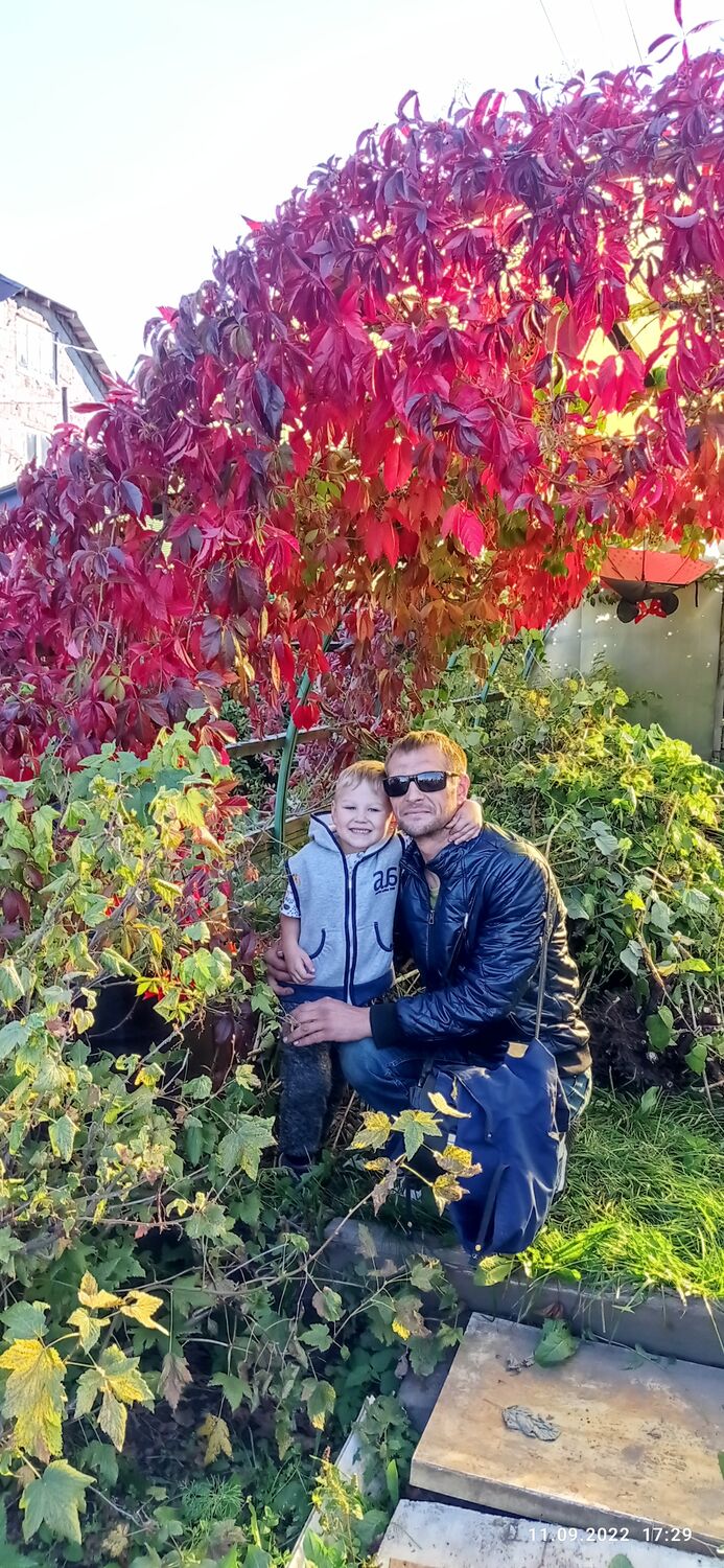  ,   Vad, 44 ,   ,   , c , 