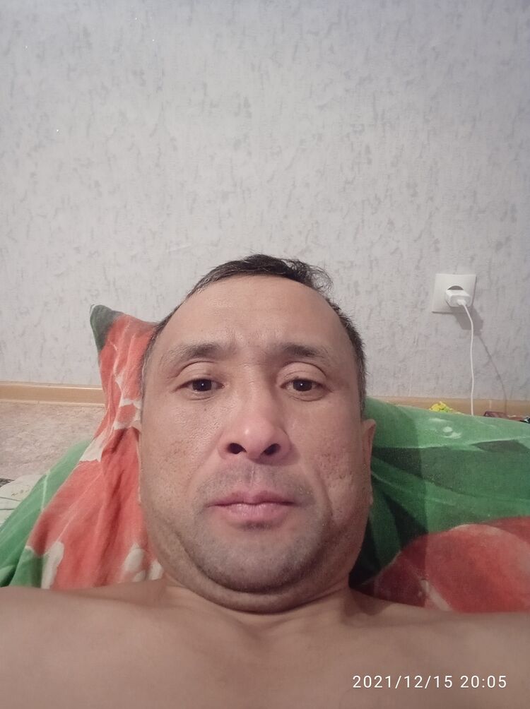  24634286  , 51 ,    