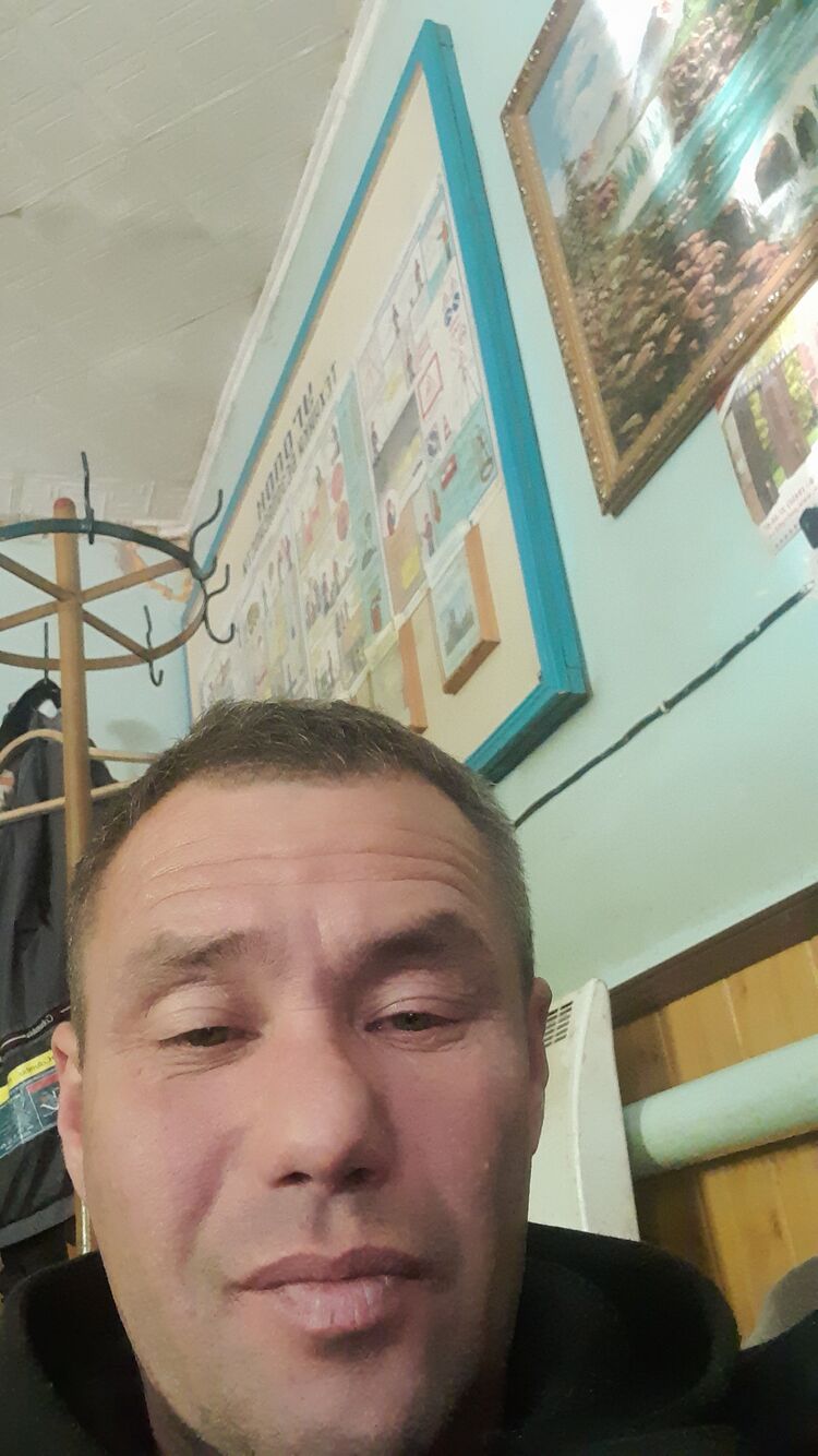  34327556  , 46 ,    