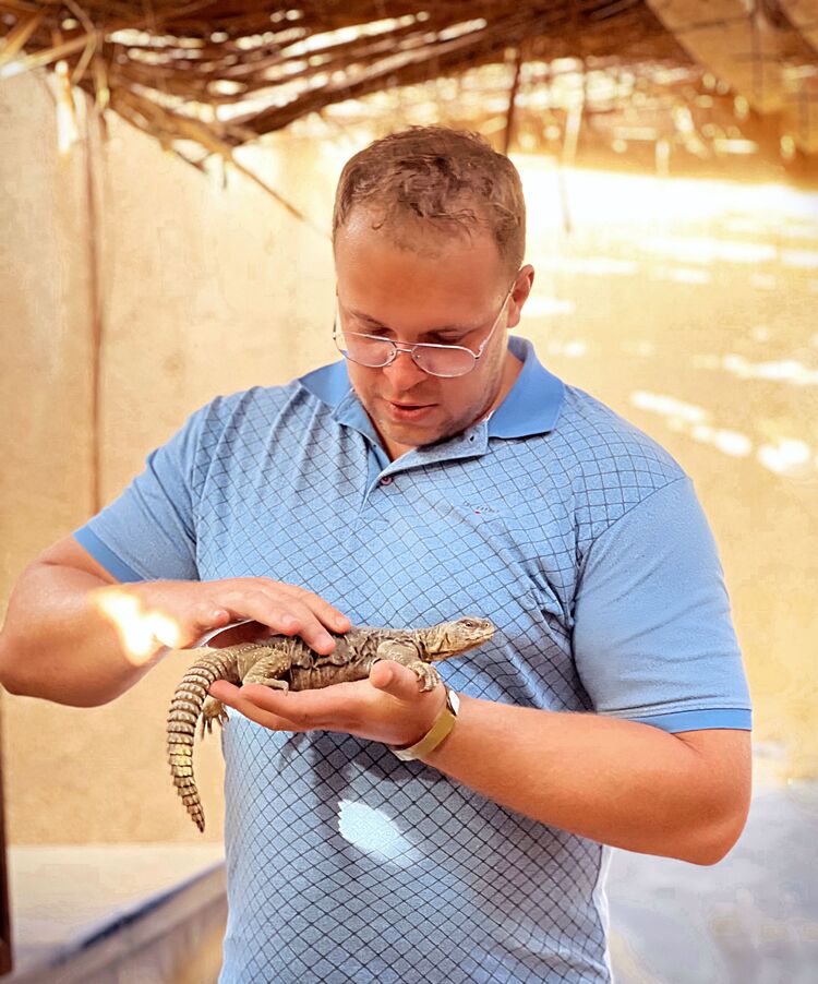 ���������� �����, ���� ������� ����, 32 ����, ������������ ��� ������, ����� � ���������