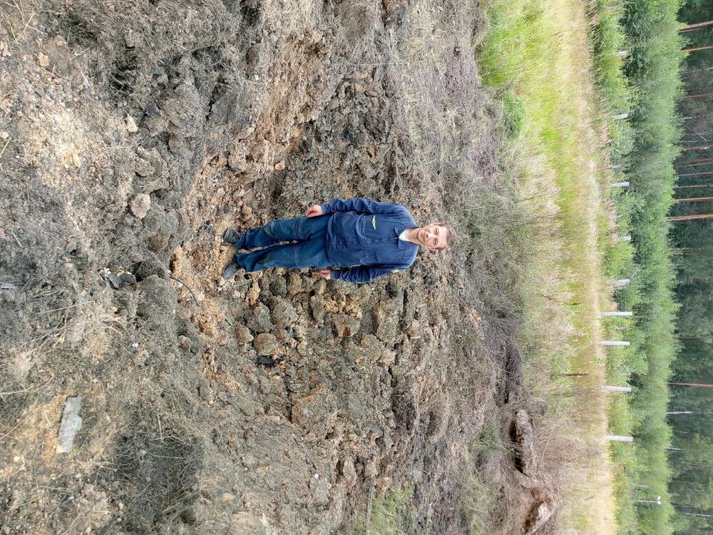  50429566  , 38 ,    -