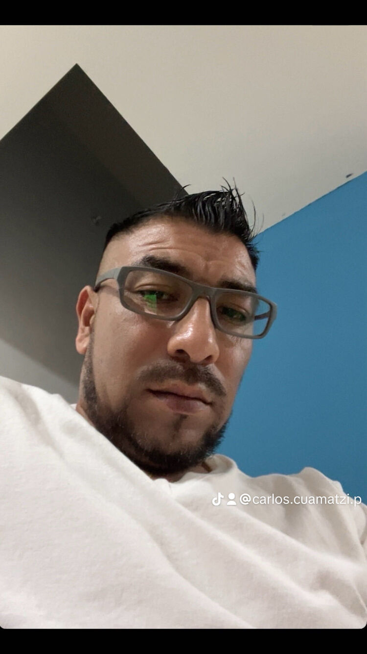  Carnation,   Charly, 42 ,   ,   