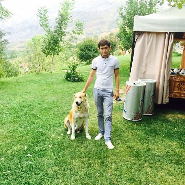  ,   Sardor, 35 ,   ,   , c , 