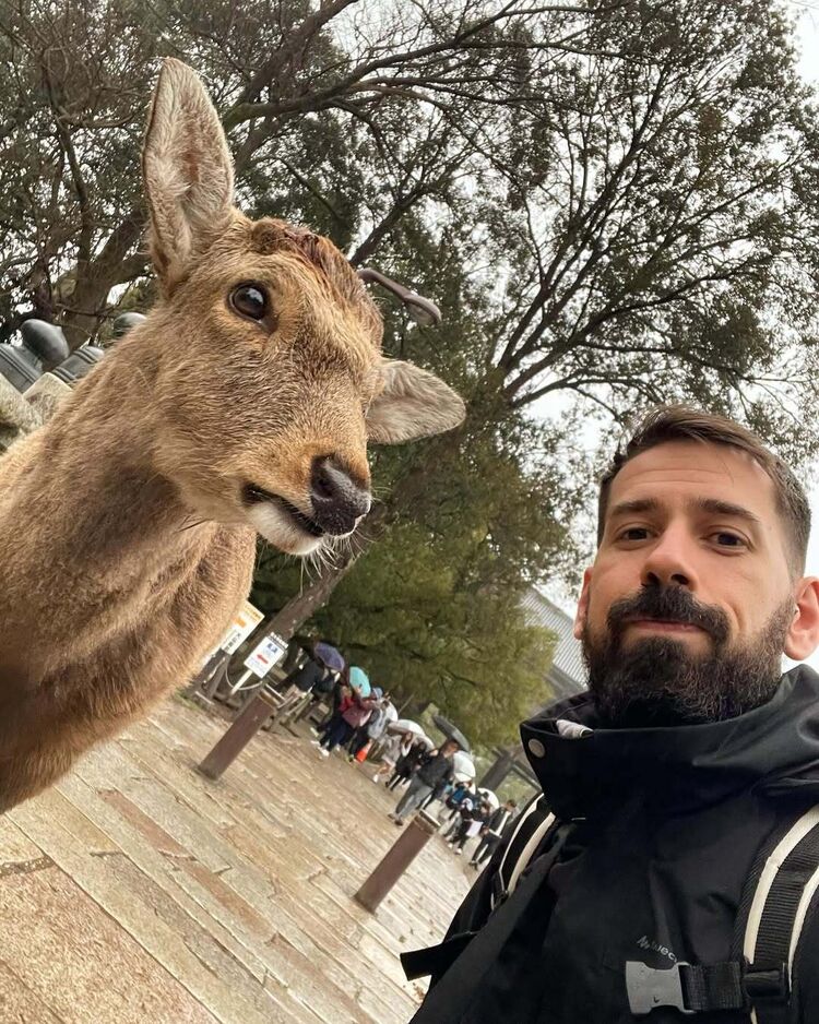 ���� 55225886 ������� ���������, 35 ���, ���� ���������� � �������-��-����