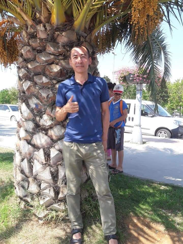  22805706  , 51 ,    -