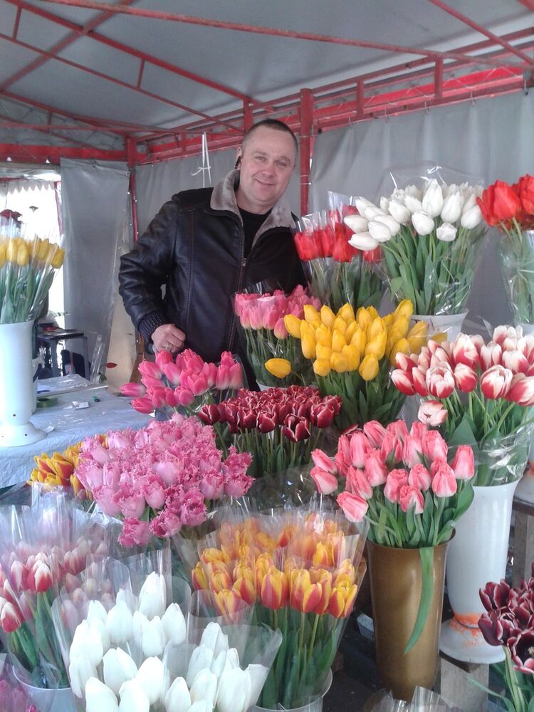 ���� 4244526 ������� ���������, 45 ���, ���� ���������� � ���������