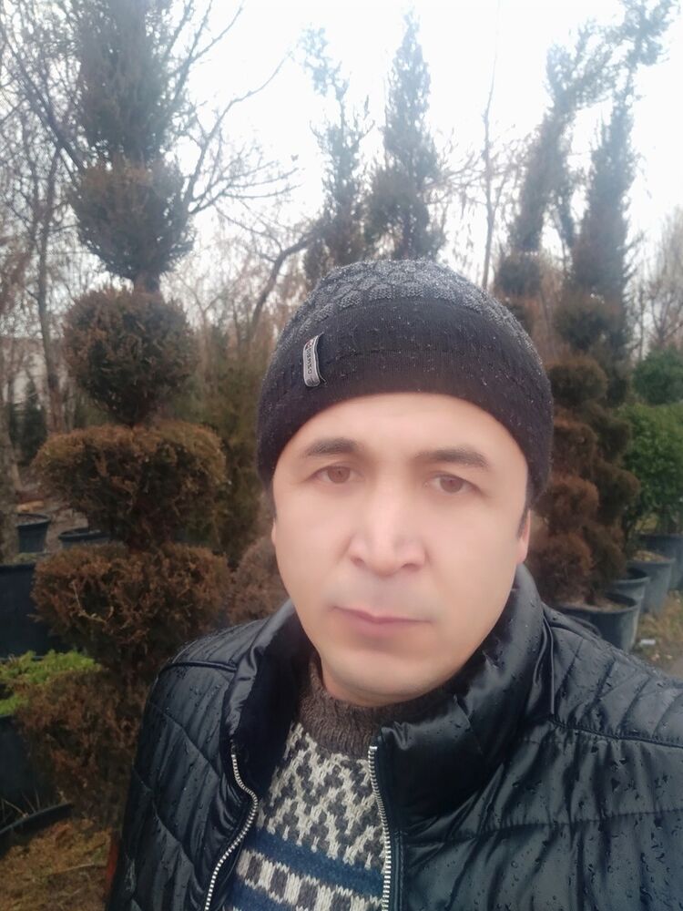 ���� 19036816 ������� ��������, 41 ���, ���� ���������� � ��������