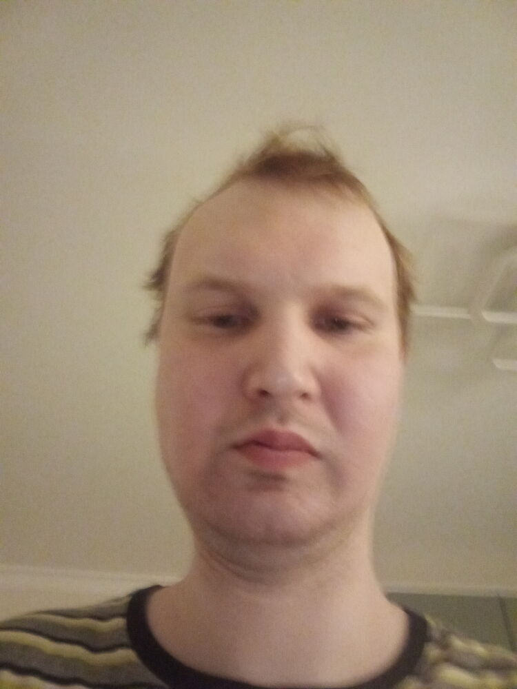  41519446  , 32 ,    