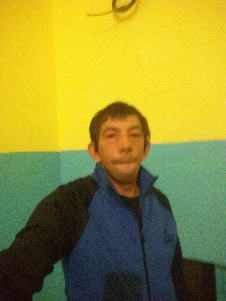  28800656  , 33 ,    