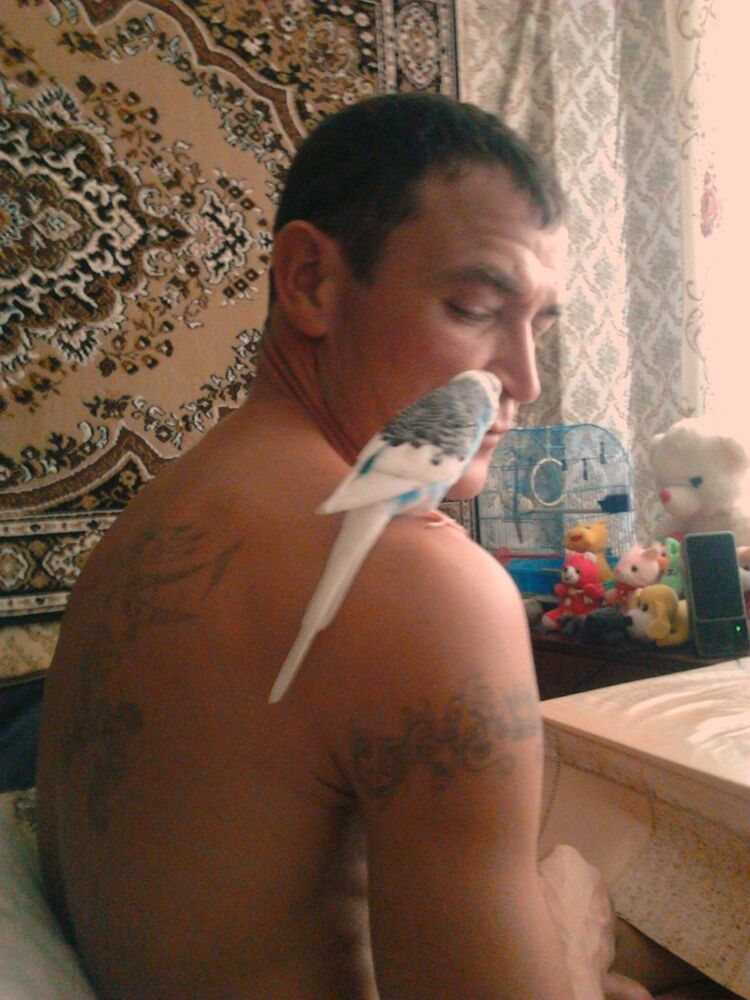  ,   Azazello, 44 ,   