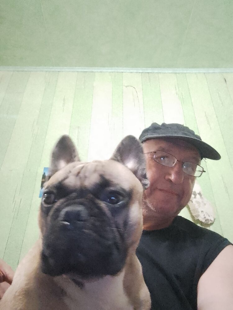 ���� 55815306 ������� �������, 56 ���, ���� ���������� � �����-����������