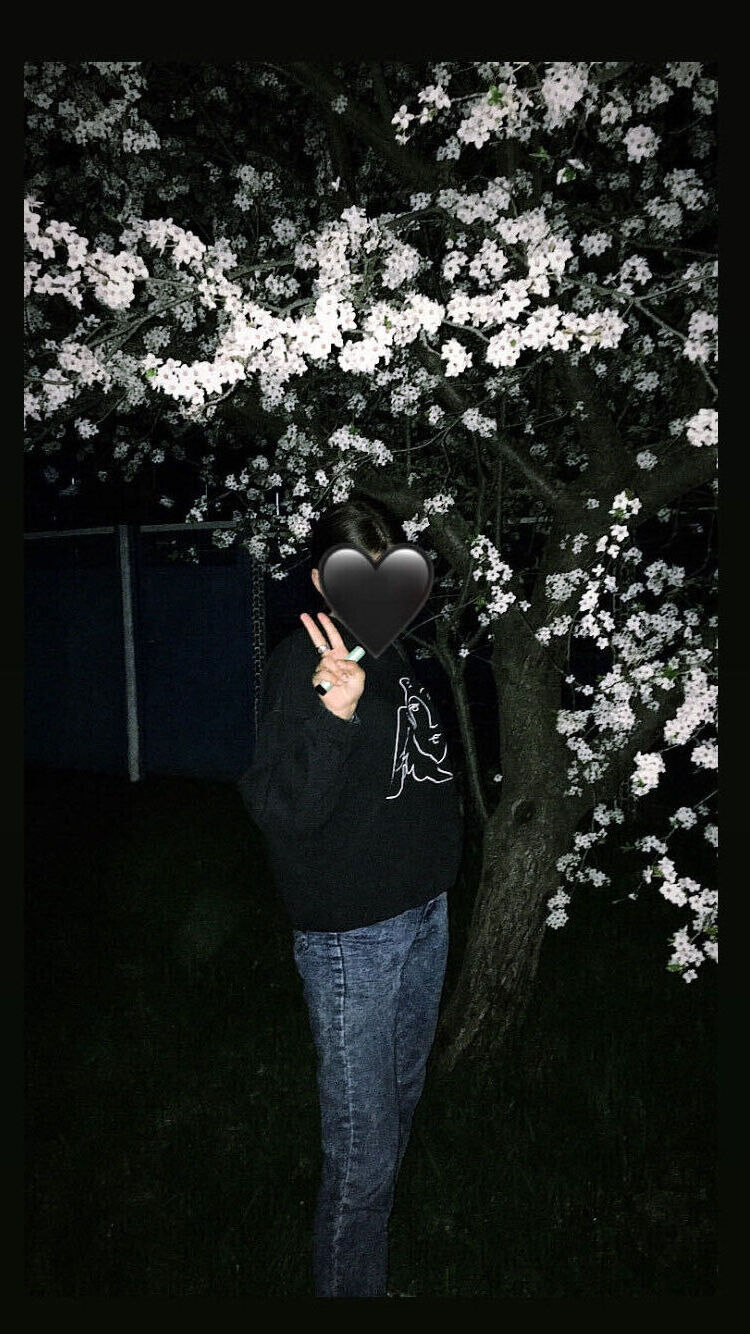  32531556  , 20 ,    