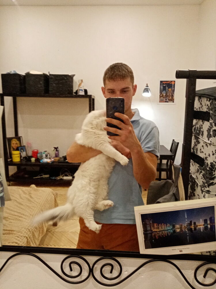  18956576  , 37 ,    -