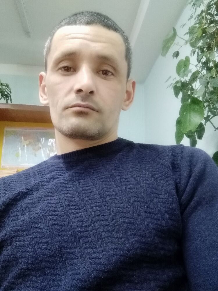  41983576  , 43 ,    