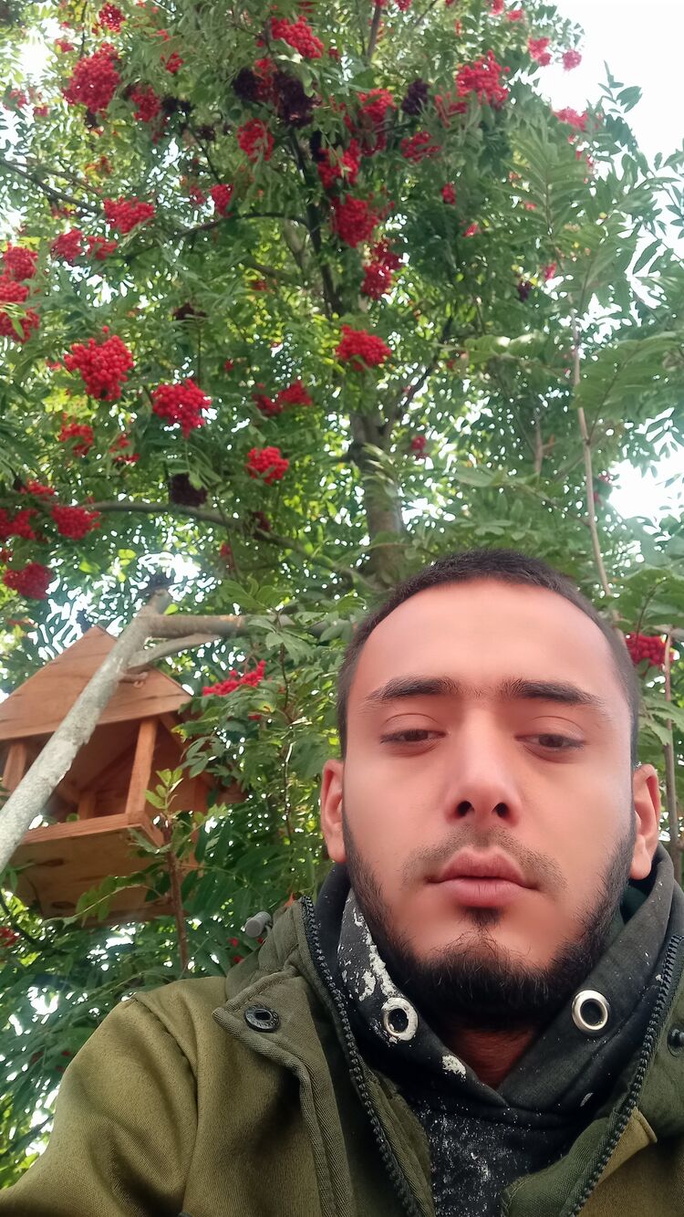 29208946  , 31 ,    