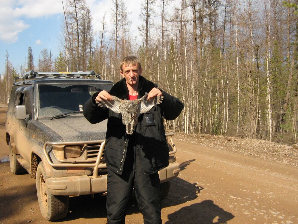 ���������� ����������, ���� ������� ��������, 52 ����, ������������ ��� ����� � ���������, c�������� ���������, ���������