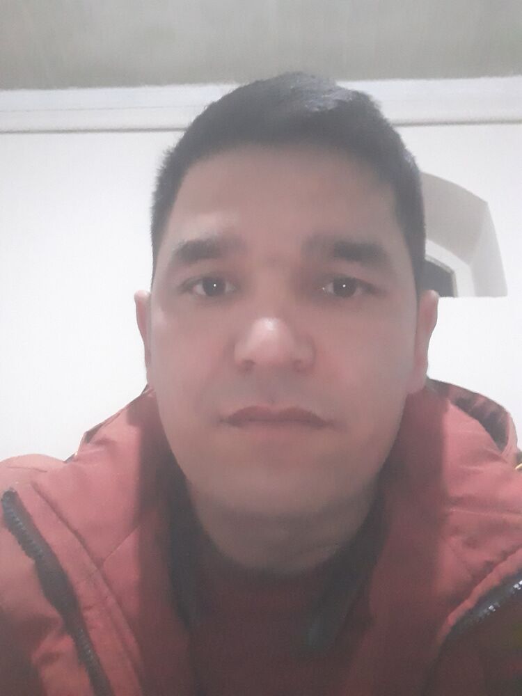  46810736  , 29 ,    