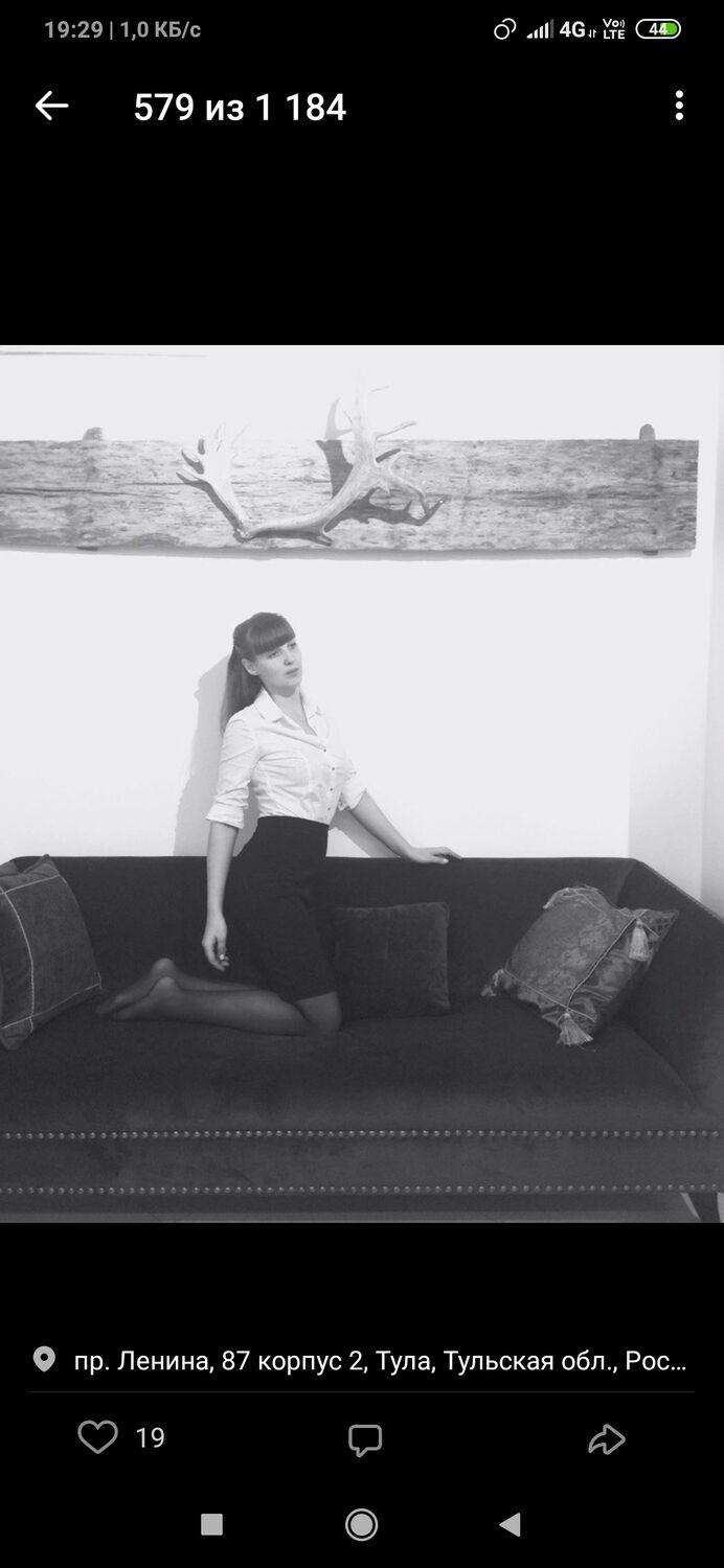  28346806  , 41 ,    -