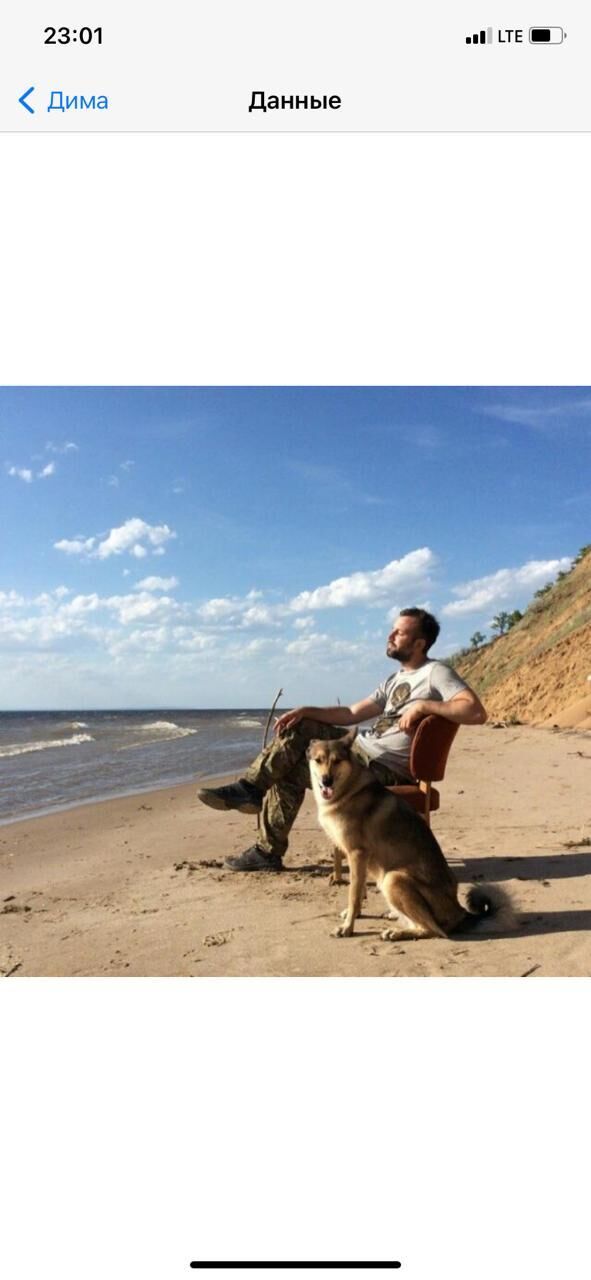 ���� 25586606 ������� �������, 38 ���, ���� ���������� � ��������