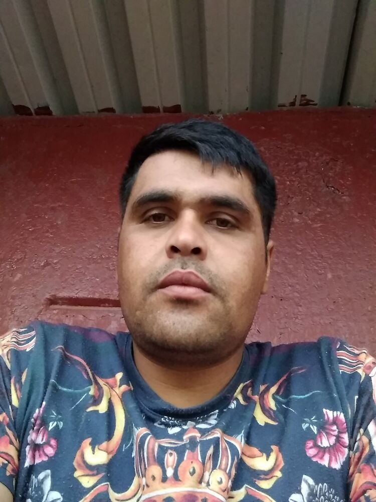 ���� 23662296 ������� ������, 33 ����, ���� ���������� � ������