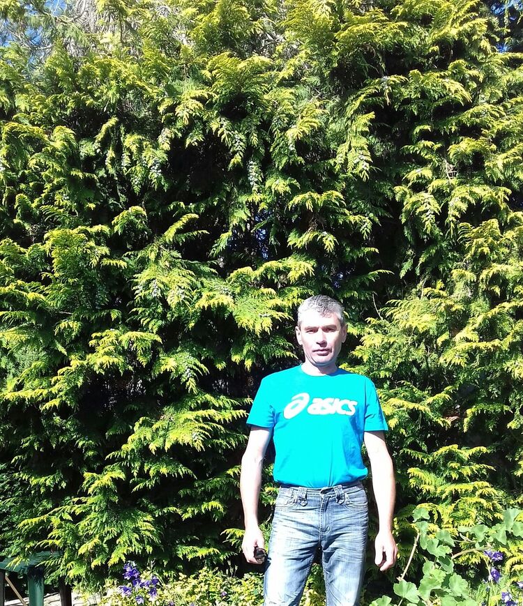  Hannoversch Munden,   Michael, 54 ,   
