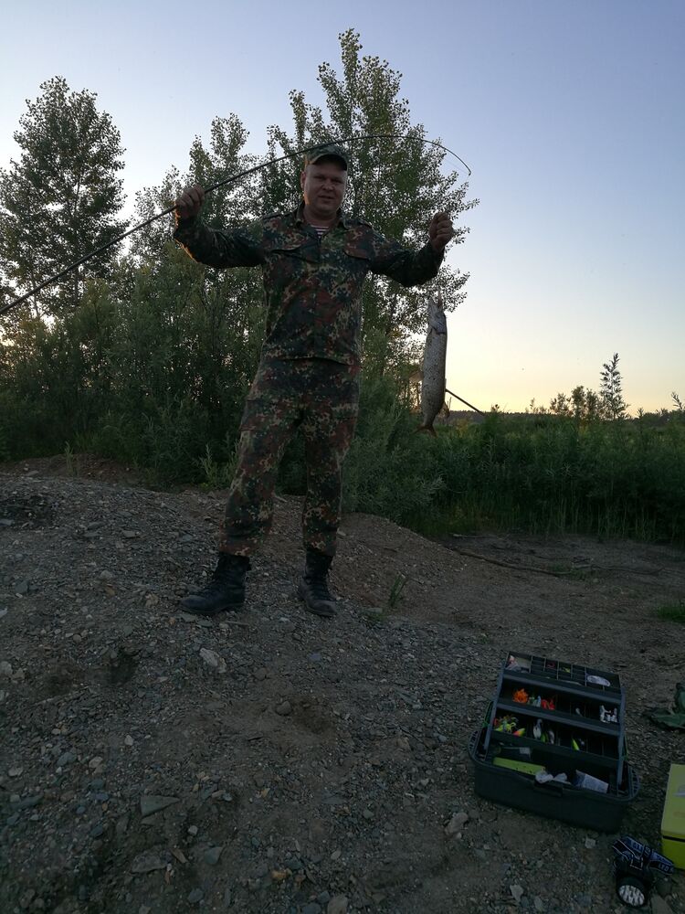  28106376  , 39 ,    