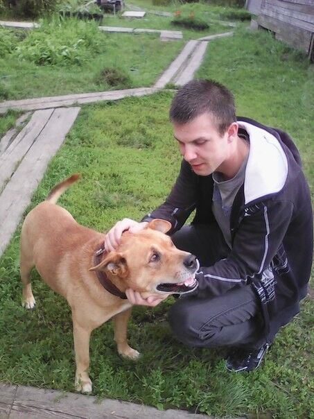 ���������� ������������, ���� ������� ���������, 34 ����, ������������ ��� ������, ����� � ���������, c�������� ���������