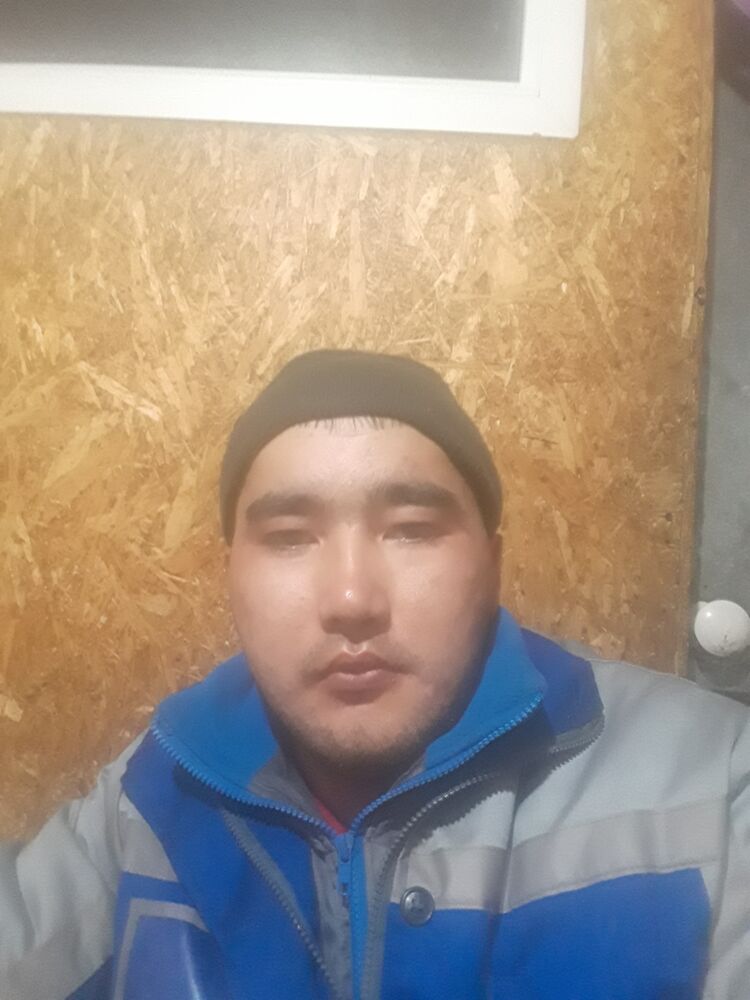  43438276  , 26 ,    