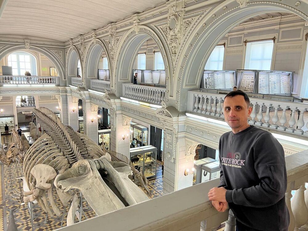 ���� 51552536 ������� �������, 40 ���, ���� ���������� � �����-����������