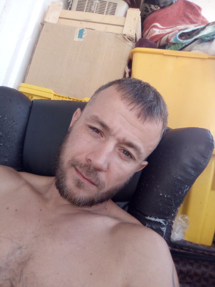  28426986  , 41 ,    