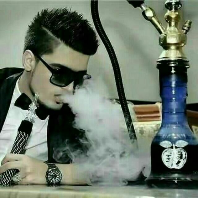  33146146  , 42 ,    